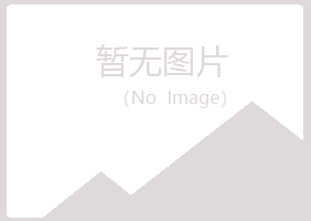 甘孜县紫山能源有限公司